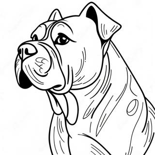 Cane Corso Coloring Pages