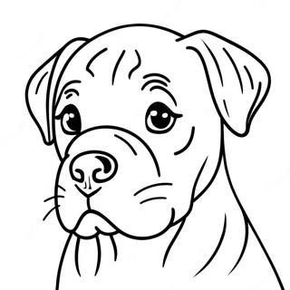 Cane Corso Coloring Pages