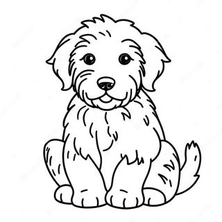 Aussiedoodle Coloring Pages