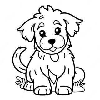 Aussiedoodle Coloring Pages