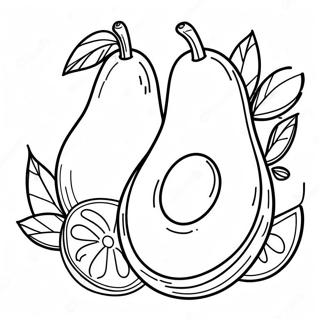 Avocado Coloring Page 5570-4432