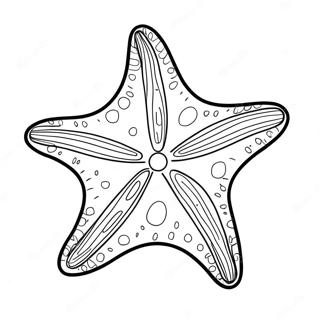 Starfish Coloring Pages