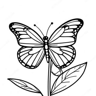 Monarch Butterfly Coloring Pages