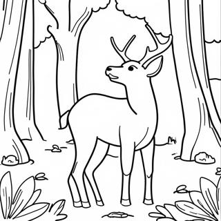 White Tailed Deer Coloring Pages