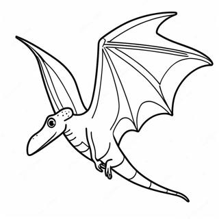 Uçan Pteranodon Boyama Sayfası 59494-47084