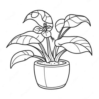 Audrey Ii Plant Coloring Page 60474-47858