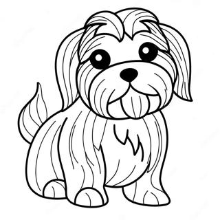 Havanese Coloring Pages