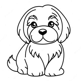 Havanese Pagini De Colorat