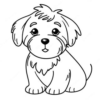 Söt Havanese Valp Målarbild 61784-48887