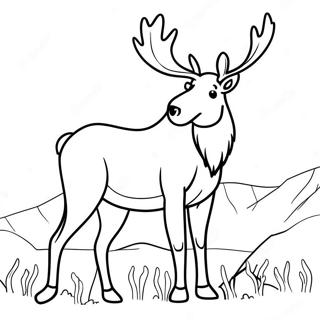 Moose Coloring Pages