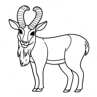 Antelope Coloring Page 62163-49187