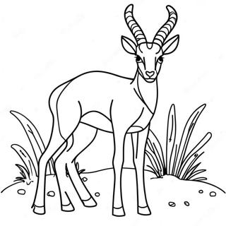 Antelope Coloring Page 62163-49188