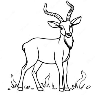 Graceful Antelope In The Wild Coloring Page 62164-49200