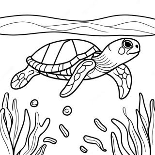 Realistic Sea Turtle Coloring Pages