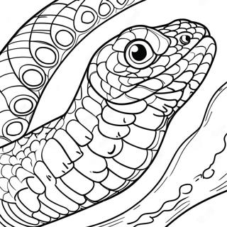 Colorful Viper Slithering Coloring Page 62724-49635