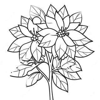 Festive Poinsettia Plant Coloring Page 64424-50981