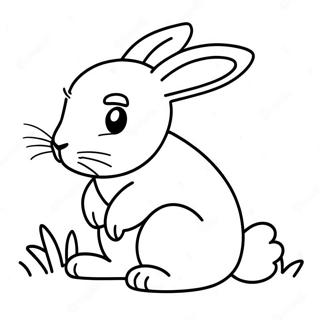 Rabbit For Adults Coloring Pages