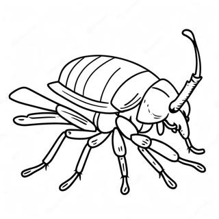 Cockroach Coloring Pages