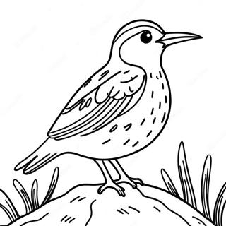 Western Meadowlark Singing Coloring Page 64683-51203