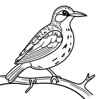 Western Meadowlark Perched On A Branch Coloring Page 64684-51189