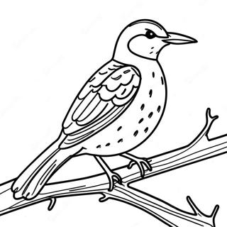 Western Meadowlark Perched On A Branch Coloring Page 64684-51190