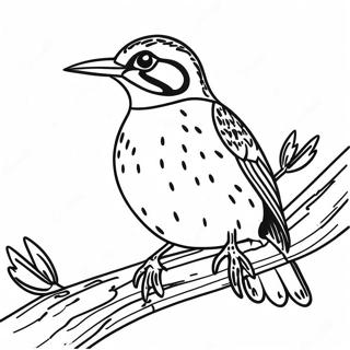 Western Meadowlark Perched On A Branch Coloring Page 64684-51192