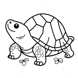 Snapping Turtle Coloring Page 65343-51713