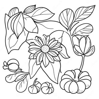 Seeds Coloring Page 65593-51914