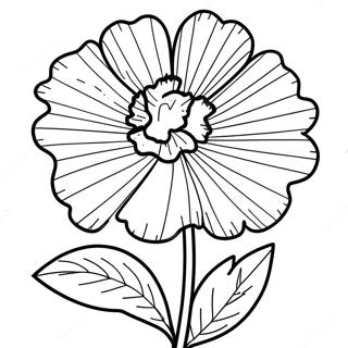 Carnation Coloring Pages