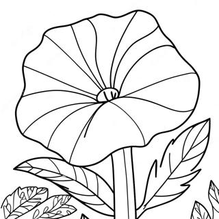 Morning Glory Flower Coloring Page 67394-53323