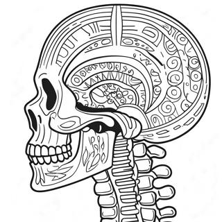 Label The Skeleton Coloring Pages