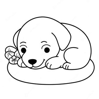 Sleeping Puppy Coloring Pages