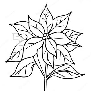 Festive Poinsettia Plant Coloring Page 67835-53673