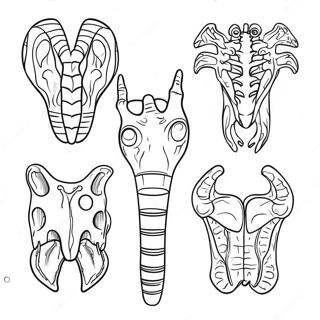 Animal Anatomy Coloring Page 68744-54431