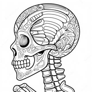 Detailed Animal Skeleton Coloring Page 68745-54416