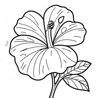 Hibiscus Flower Coloring Page 6990-5566