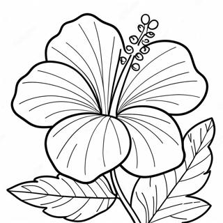 Hibiscus Flower Coloring Page 6990-5567