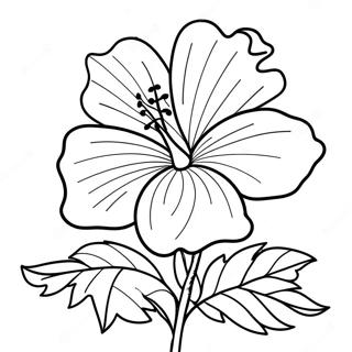 Hibiscus Flower Coloring Page 6990-5568