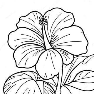 Tropical Hibiscus Coloring Page 6991-5570