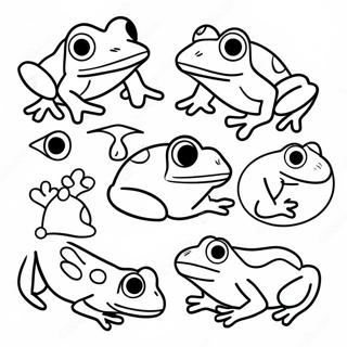 Frog Livscykel Stadier Målarbild 70214-55570