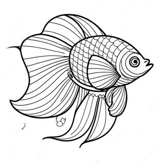 Betta Fish Coloring Page 70564-55841