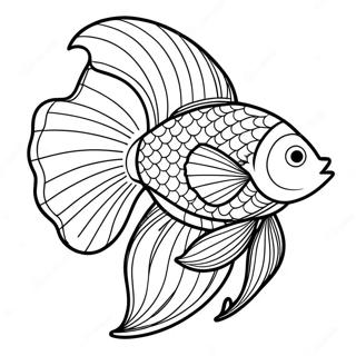 Betta Fish Coloring Page 70564-55842