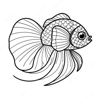 Colorful Betta Fish Swimming Coloring Page 70565-55850