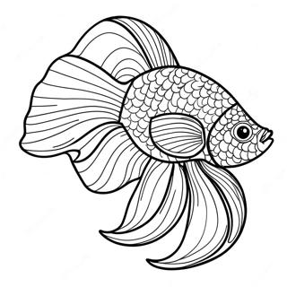 Colorful Betta Fish Swimming Coloring Page 70565-55852