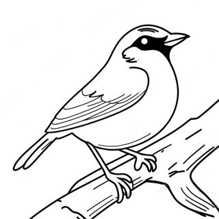 Robin In Action Coloring Page 70975-56185