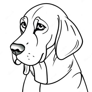 Bloodhound Coloring Page 71824-56861