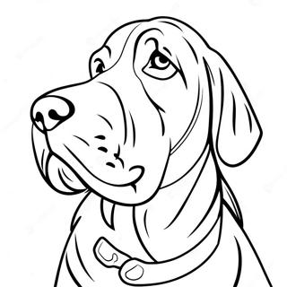 Bloodhound Coloring Page 71824-56863