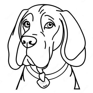 Bloodhound Coloring Page 71824-56864