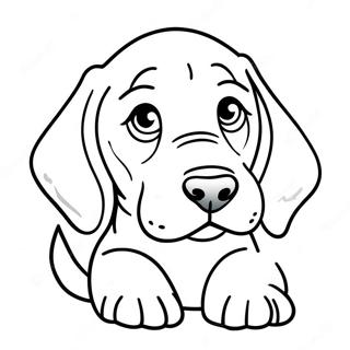 Pagina Da Colorare Di Un Cucciolo Di Bloodhound Giocoso 71825-56856