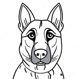 Belgian Malinois Dog Coloring Page 72384-57310